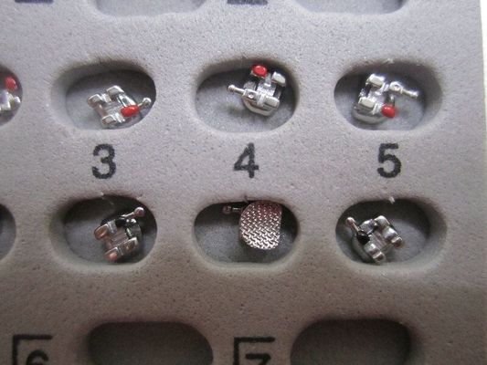 Fournisseurs d'orthodontie Dentistique au laser à support métallique avec une durée de conservation d'un an
